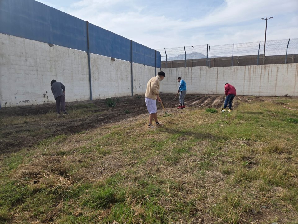/jovenes-generaran-huerto-organico-productivo-gracias-a-convenio-entre