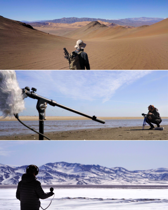 /documental-la-musica-del-silencio-el-canto-secreto-de-atacama