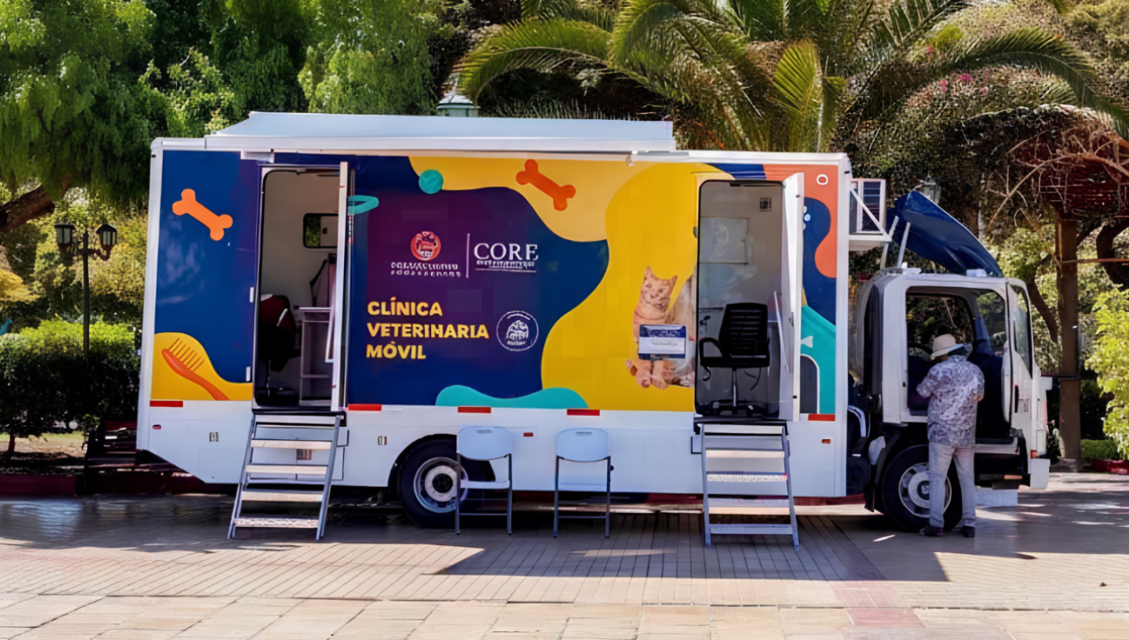 /local/mas-de-750-mascotas-han-sido-esterilizadas-en-taltal-durante-2026