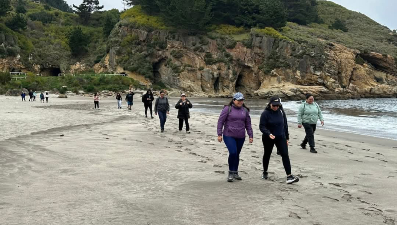 /caminata-familiar-al-mirador-escondido-en-playa-millaneco