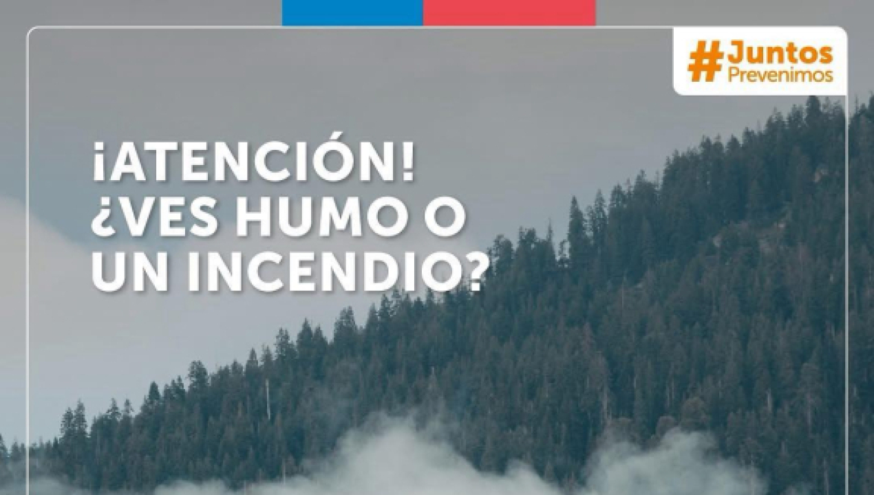 /llamado-a-la-comunidad-prevenir-los-incendios-forestales-es-tarea-de-todos