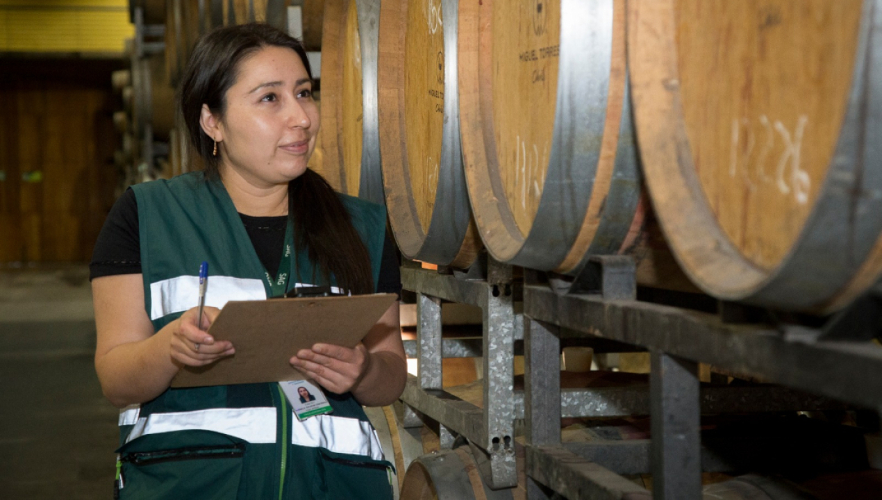 /sag-presenta-informe-de-existencia-de-vinos-2025