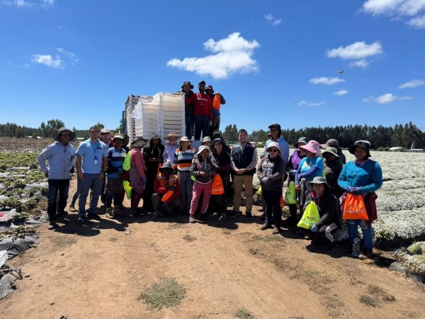 ISL intensifica prevención en faenas agrícolas del Maule