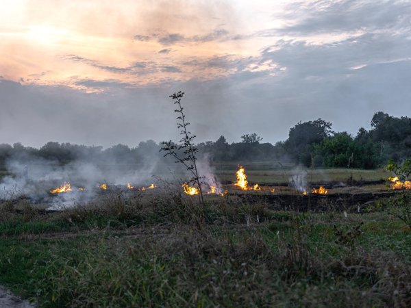 Salud Maule alerta por efectos del humo en la población