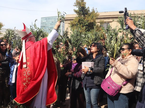 Semana Santa: horarios Domingo de Ramos en Curicó