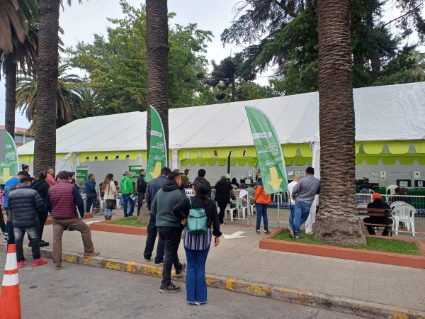 Amplían plazo para permisos en Curicó
