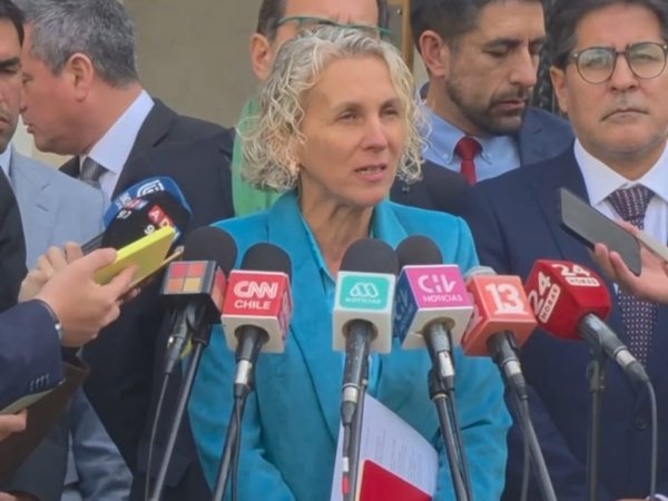 Diputada alerta por crisis agrícola en Chile