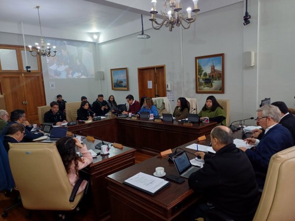 Aprueban nuevo programa para áreas verdes en Curicó