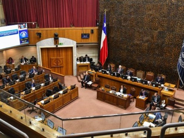 Papitos corazón y licencia de conducir: la ley que avanza en el Senado