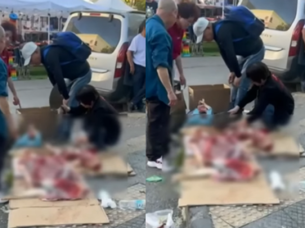 Impacto en Estación Central: mujer fue grabada faenando un animal en plena calle