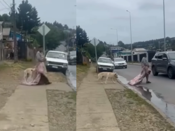 Denuncian en Tomé a sujeto en situación de calle por acto indebido con un perro