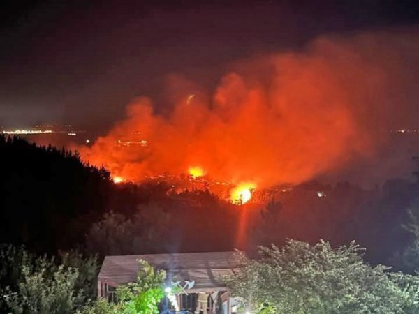Carabineros confirma una víctima fatal por incendio forestal en Punta de Parra