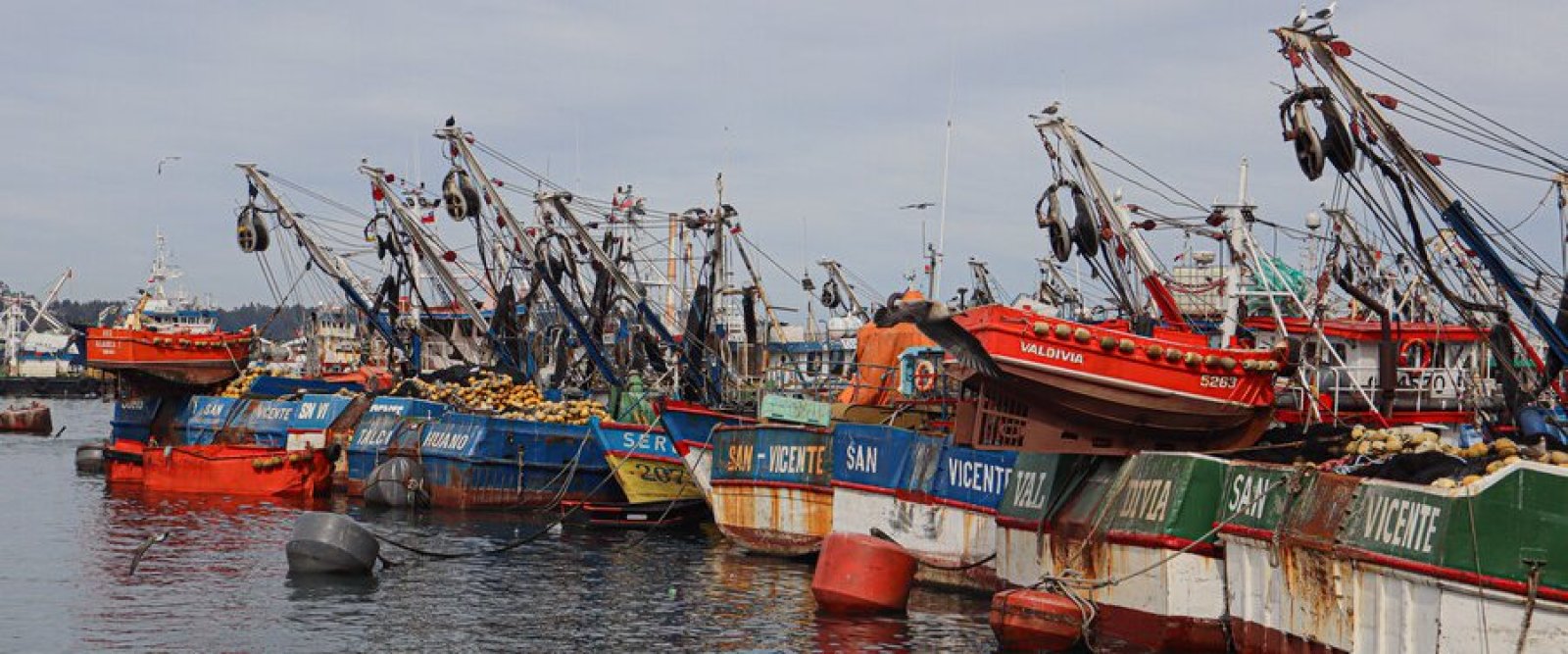 Bono de apoyo para la pesca artesanal por alza de combustibles