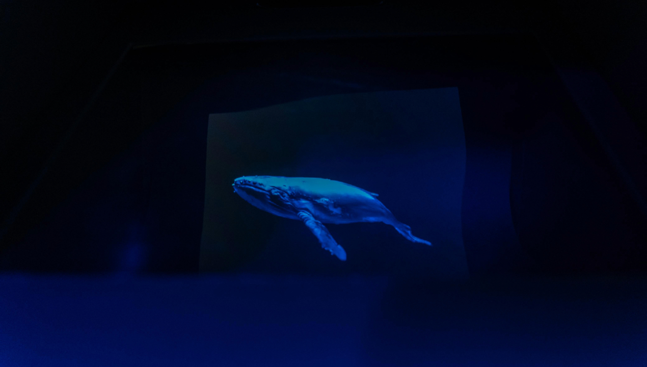 /vive-una-experiencia-artistica-unica-con-la-muestra-paisajes-sonoros